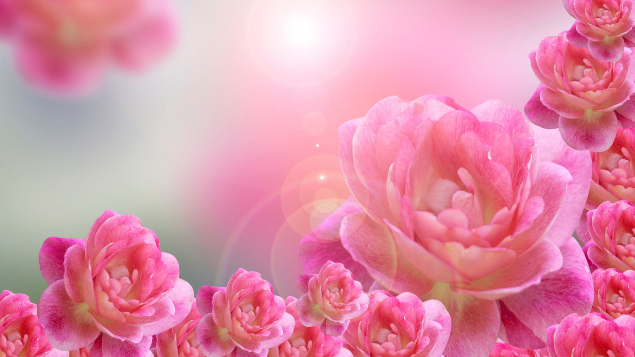 Cover for Patricia Tamez's Obituary