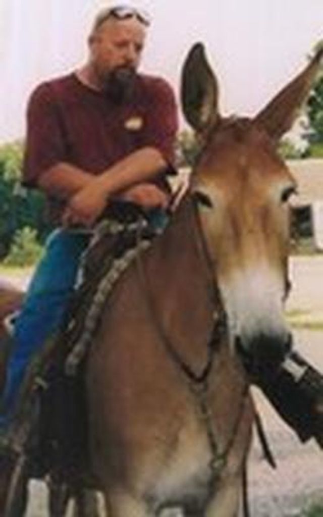 John Wright Profile Photo