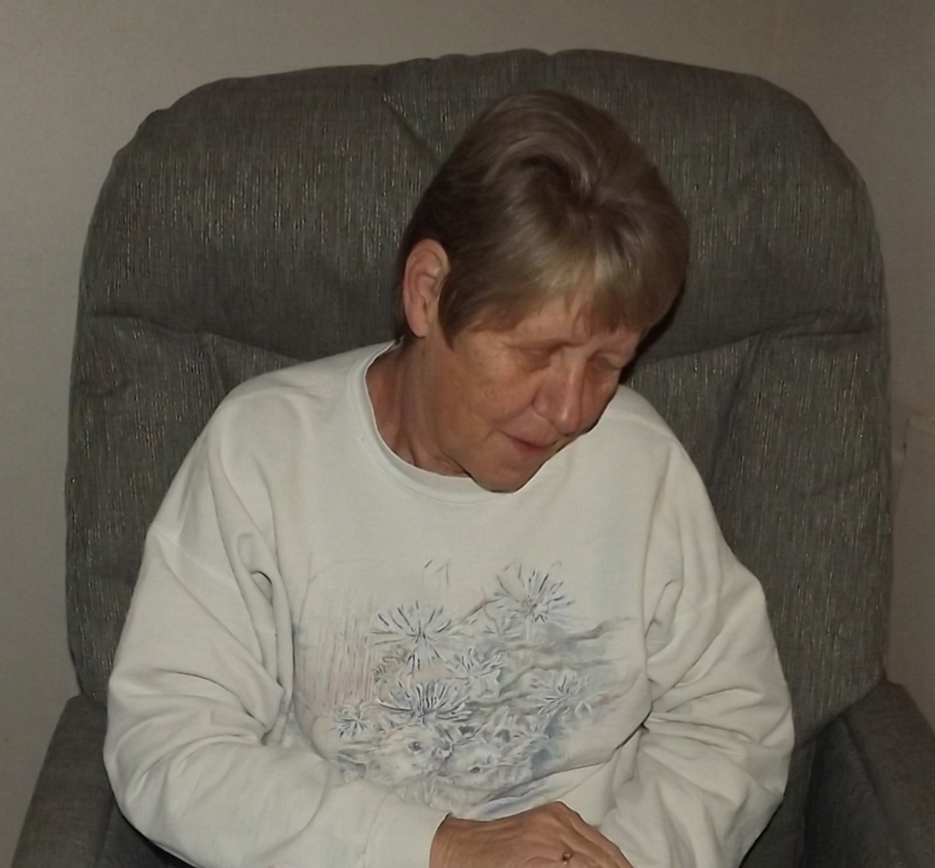Vicki Lee Van Vleet Profile Photo