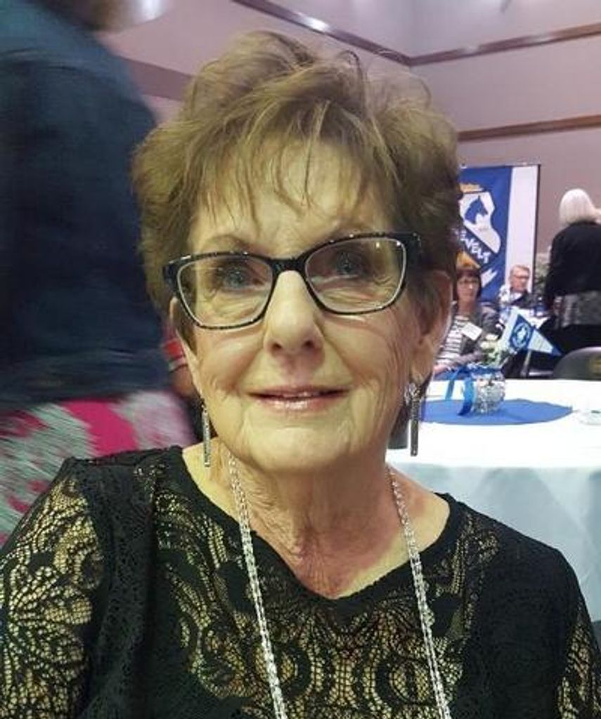 Carole N Wilcox Profile Photo