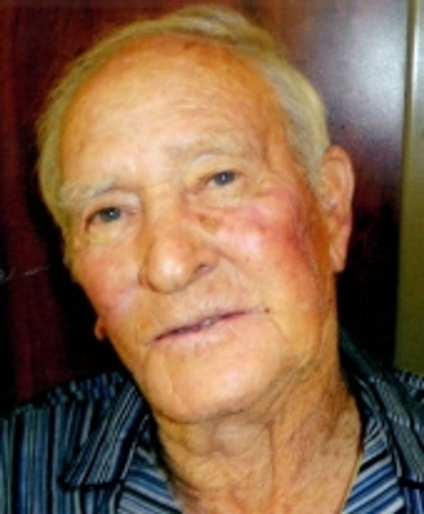 Robert Reginelli