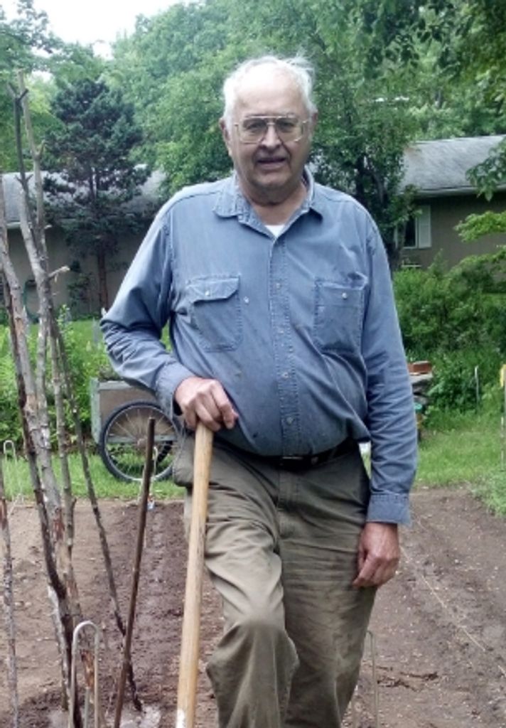 Albert Lindholm Profile Photo