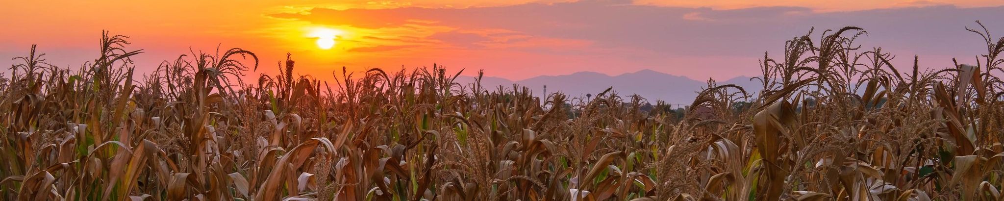 Cover for Kenneth "Kenny" Gruntorad's Obituary