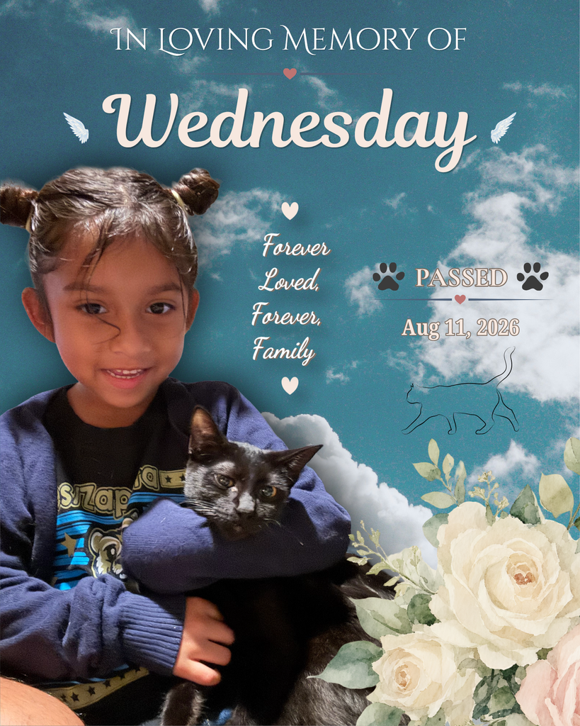 Wednesday Profile Photo