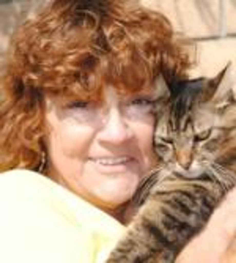 Julie Diane Campitelli