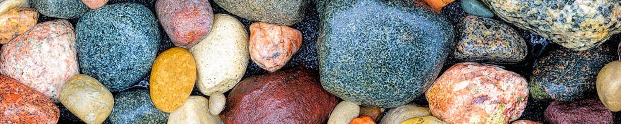 Cover for Richard S. Maier's Obituary