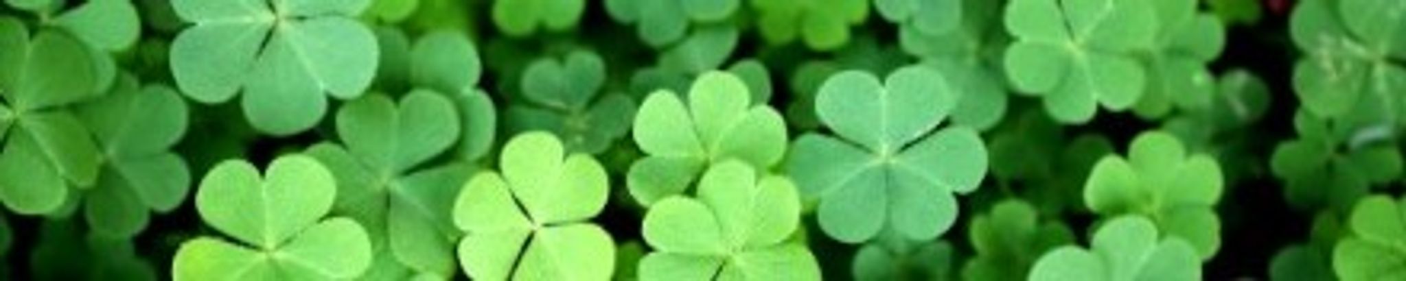 Cover for Robert "Bob" Gilmour's Obituary