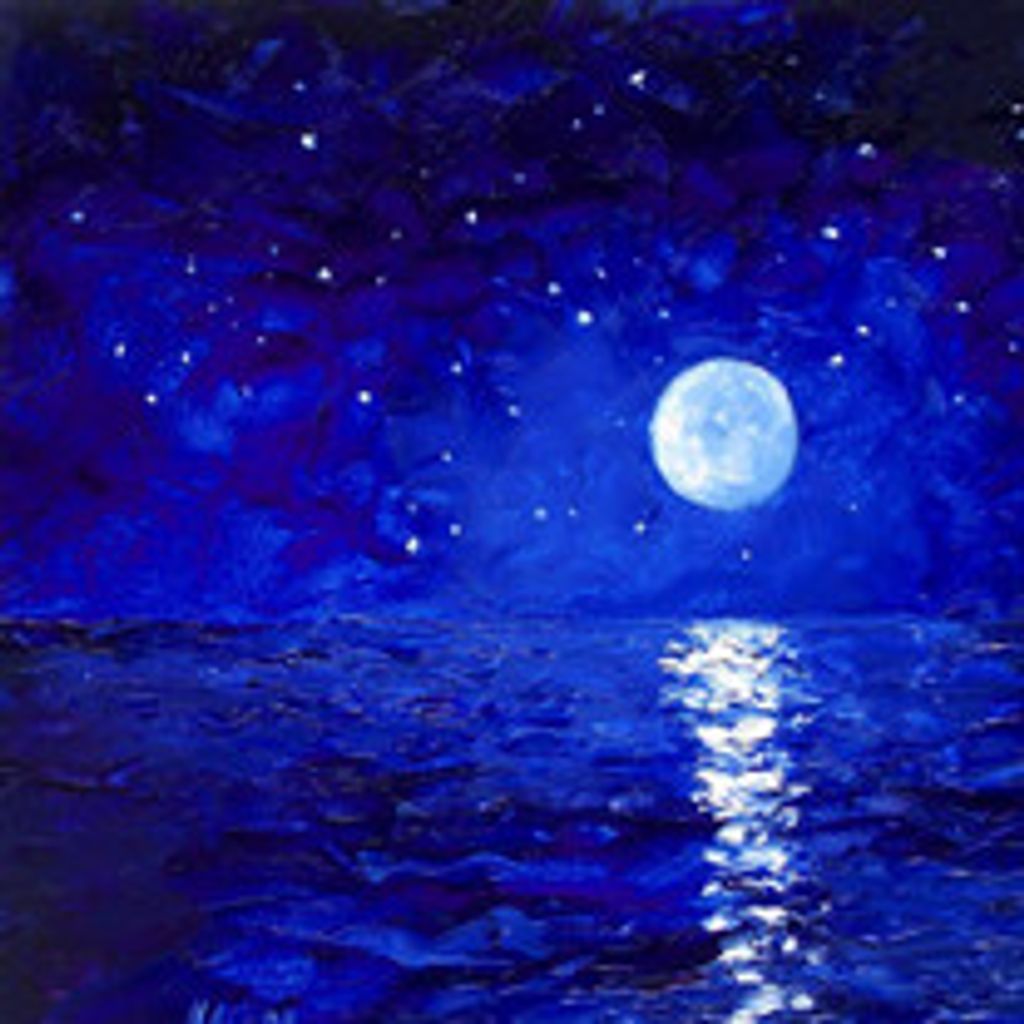 Stella Moon Barke
