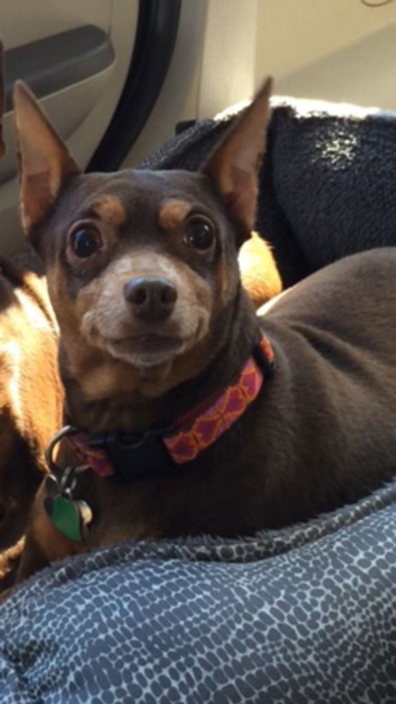 Cocoa Hatchett Profile Photo