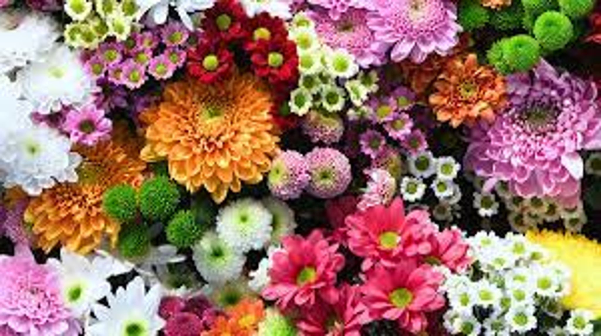 Cover photo for Theresa Grubbs's Obituary