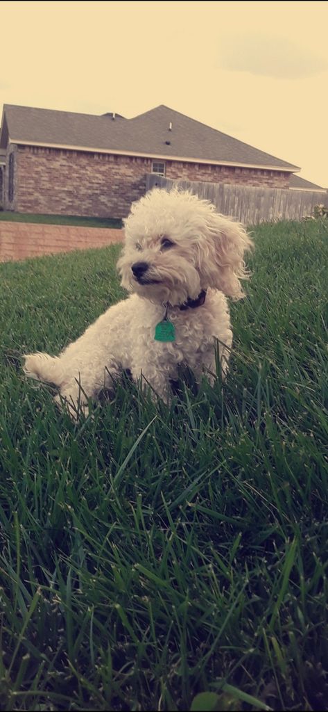 Ella May Profile Photo