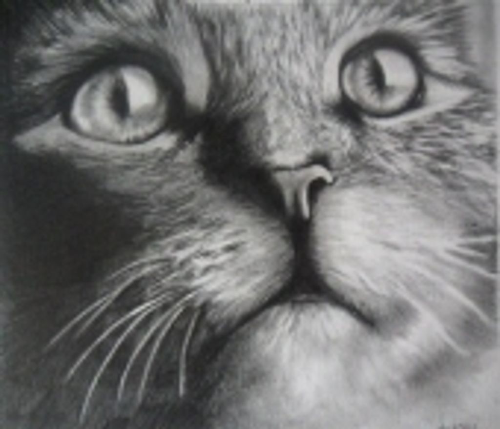 Cleo Smith Profile Photo