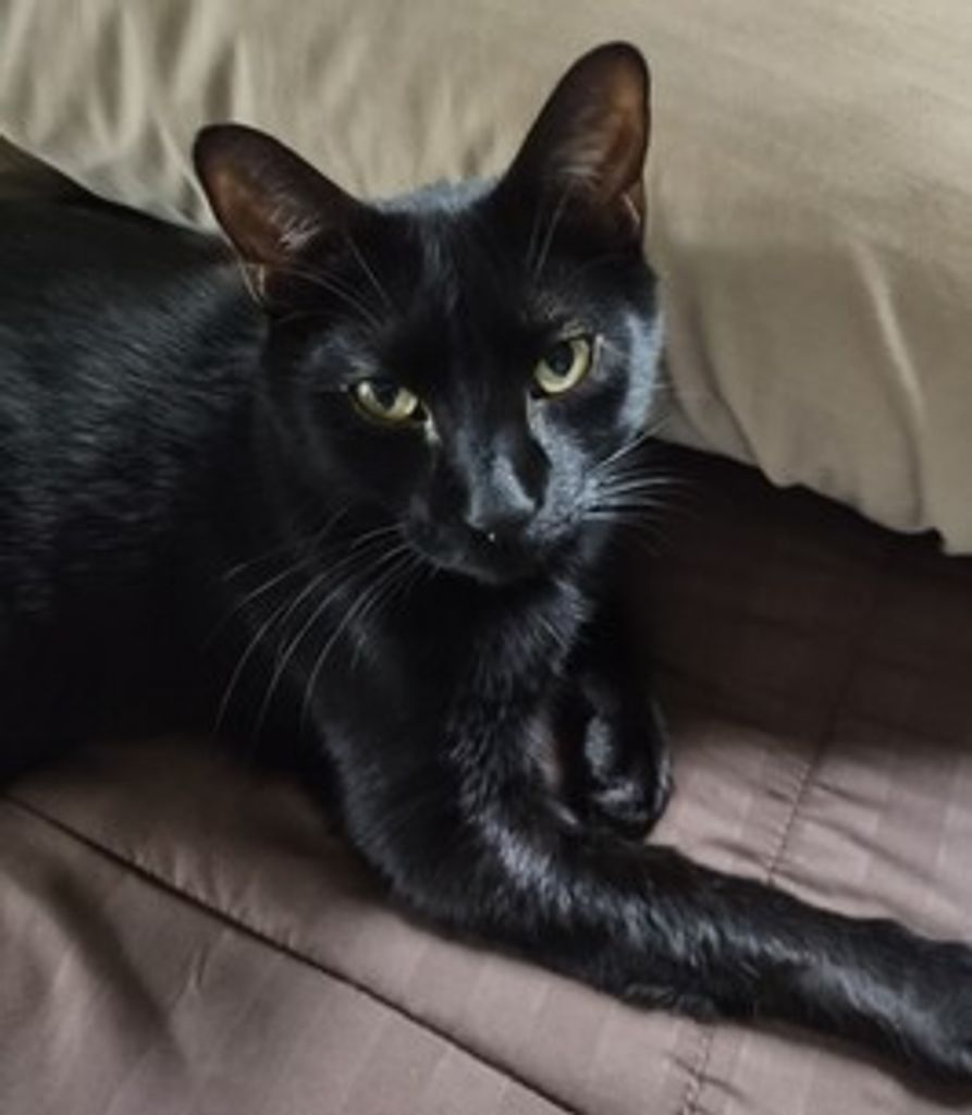 Kay Barton Profile Photo