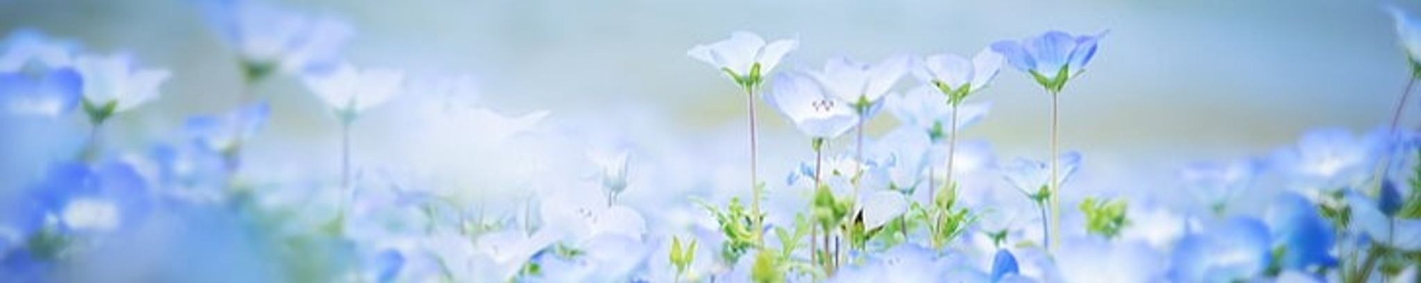 Cover photo for Irma "Janie" Jackson's Obituary