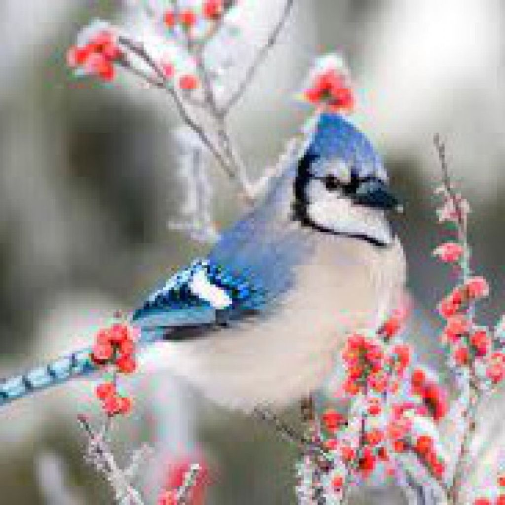 Harry G. Trimble Profile Photo