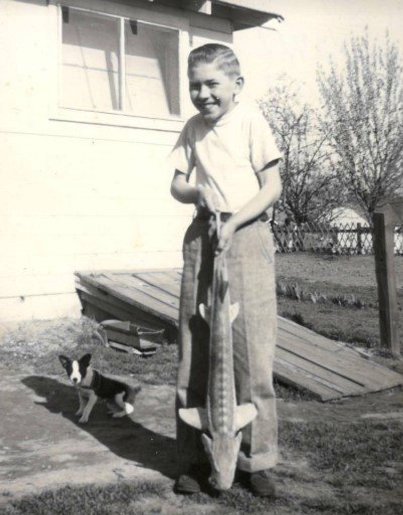 Joe Edward Dickeson