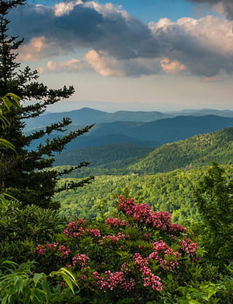 Ralph D Higgins, Sr. Profile Photo