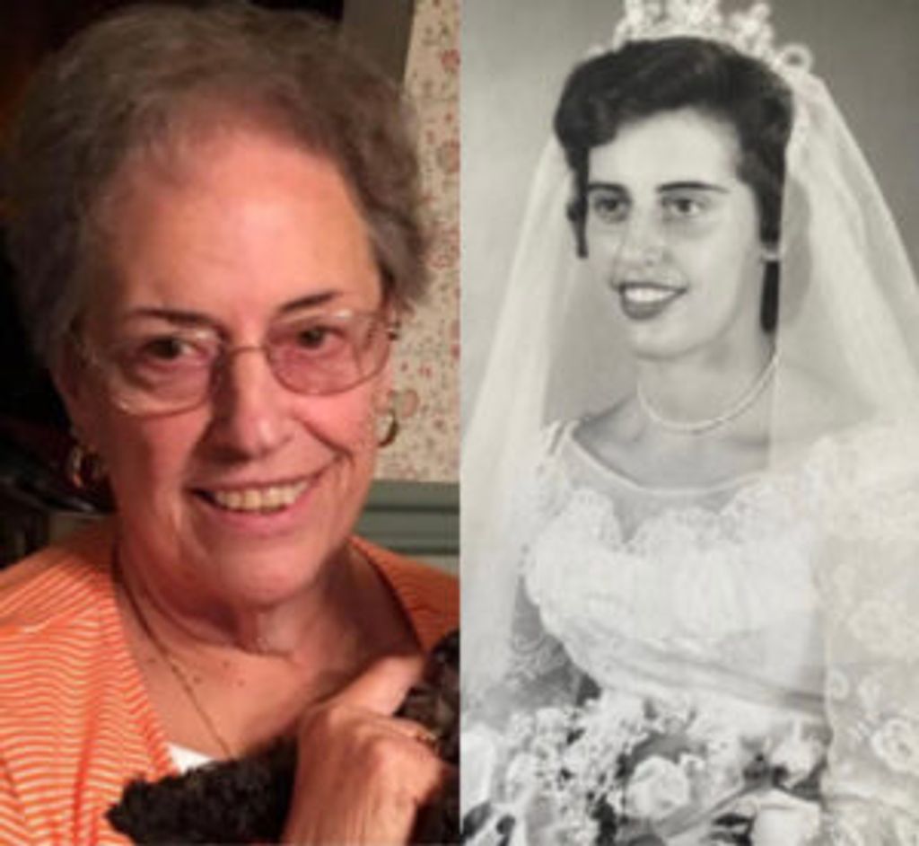 Carol Y. Sherr