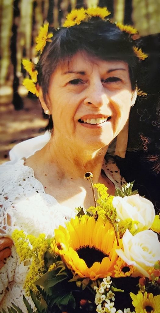 Ann Mcdonald Profile Photo
