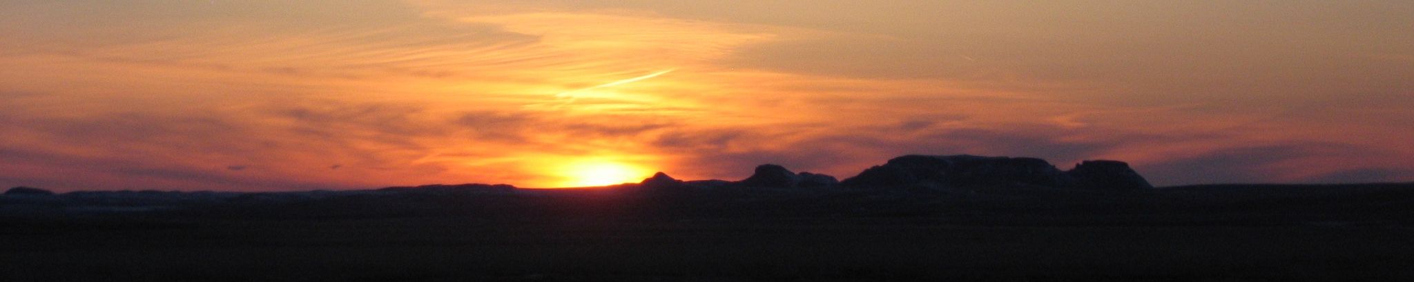 Cover photo for Donna Crow's Obituary