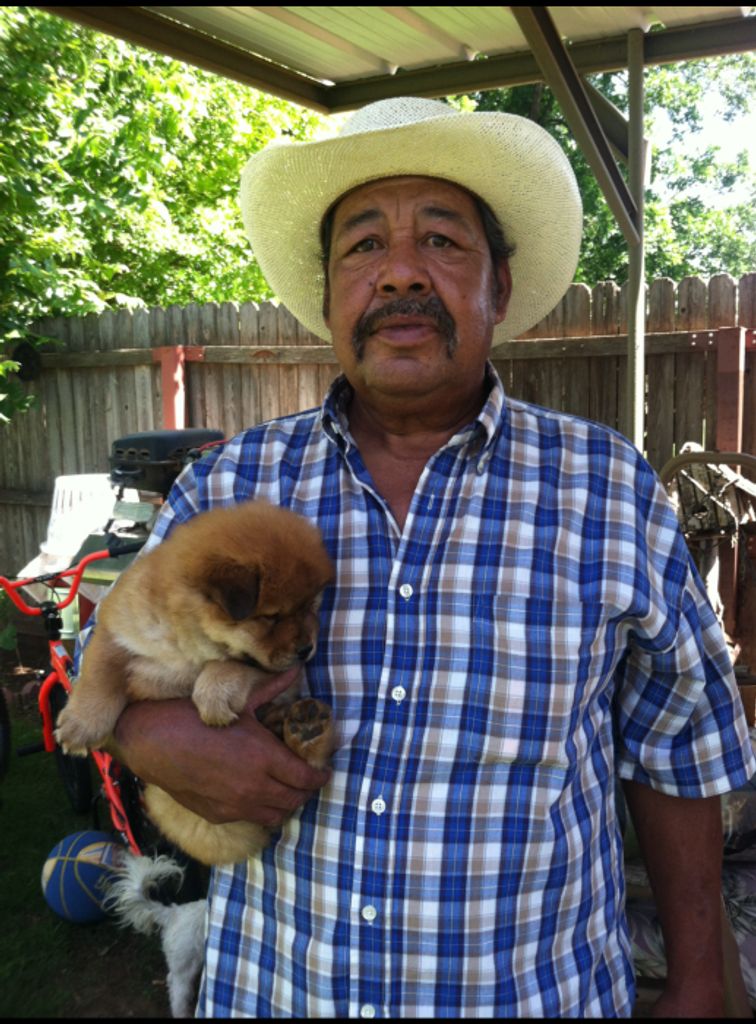 David P. Marquez Profile Photo