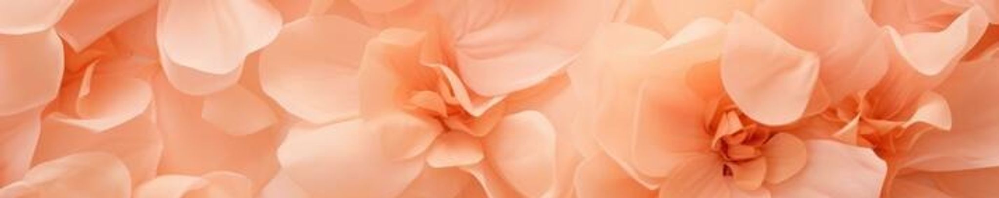 Cover photo for Loretta Vigil's Obituary