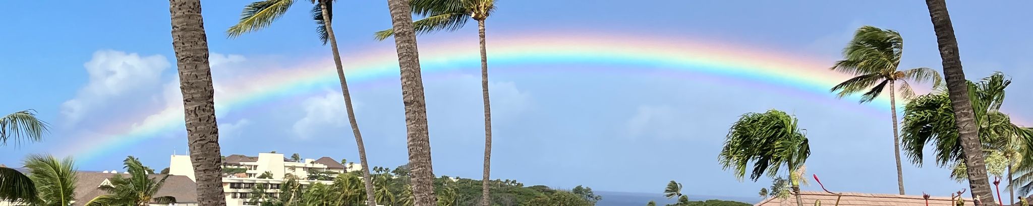 Cover for Ruth Loretta Wilson's Obituary