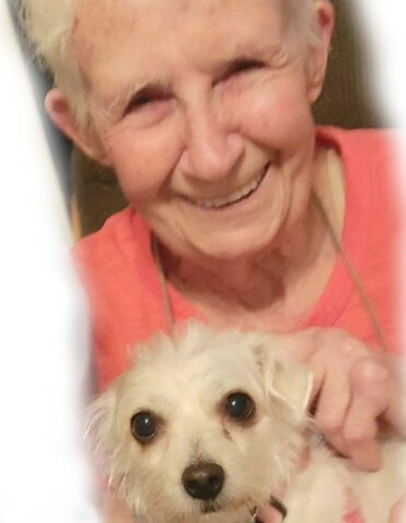 Barbara Ann (Bradow)  Schalte Profile Photo