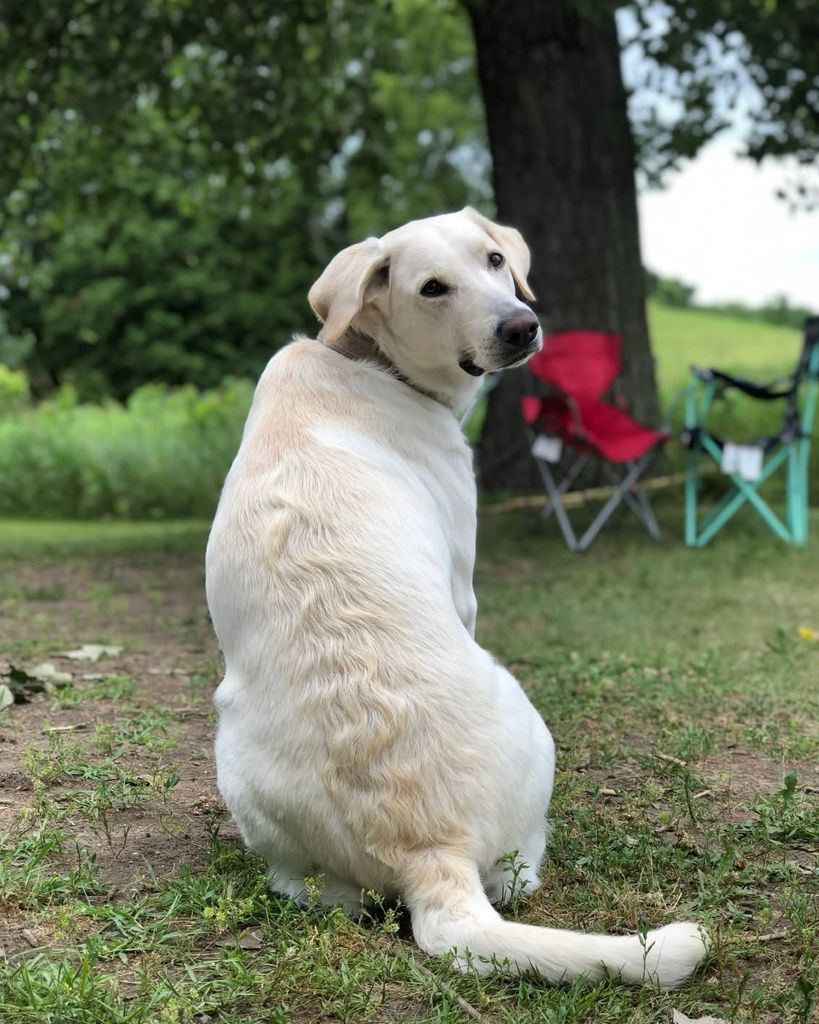 Zoe