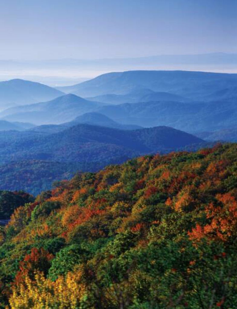 Harvey "H.B." Bennett Profile Photo