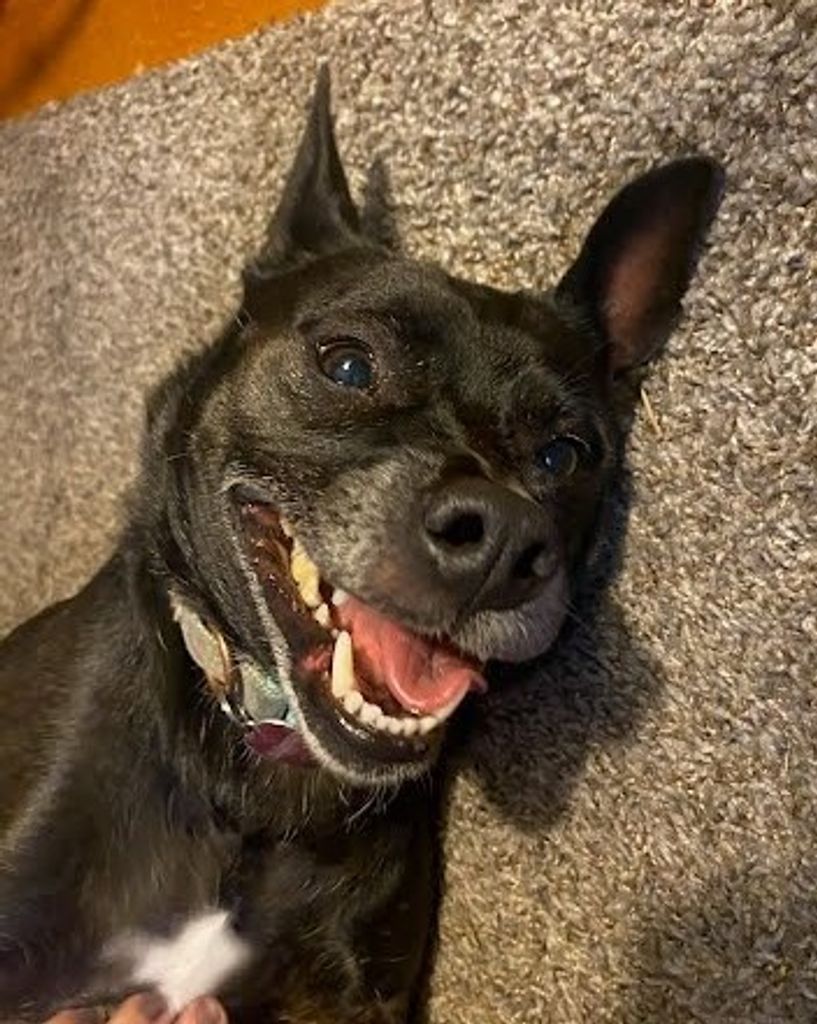 Hazel South Profile Photo