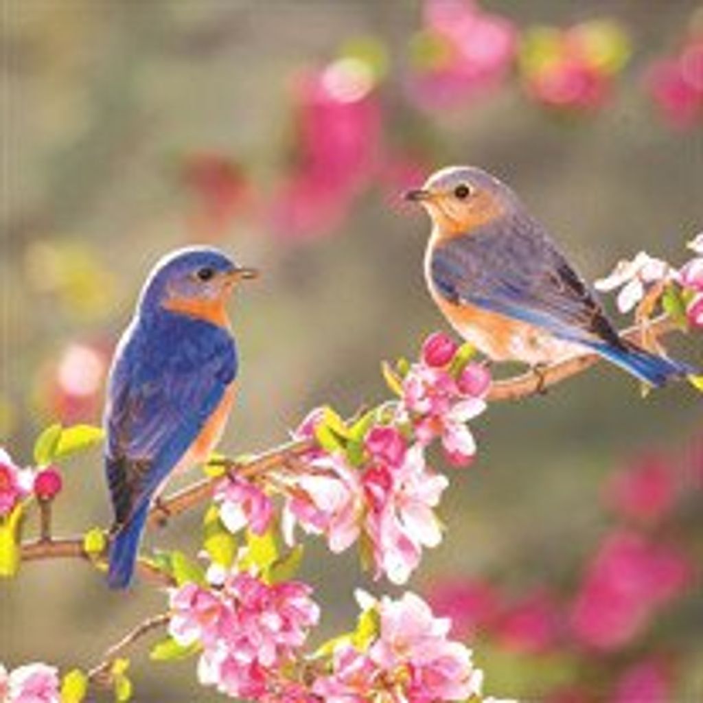 Naomi  "Bobbi" Chizever