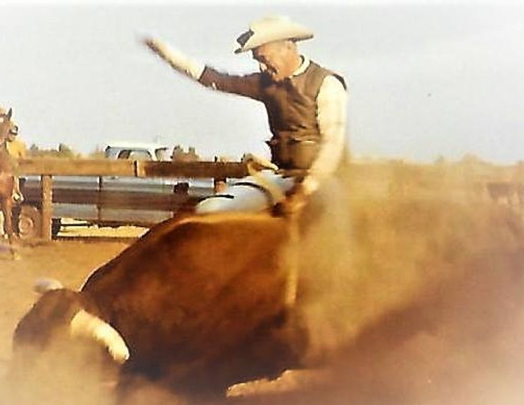 Pete Owen
