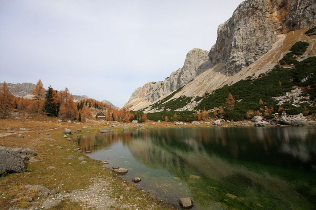 Nicholas John Whitehall Profile Photo