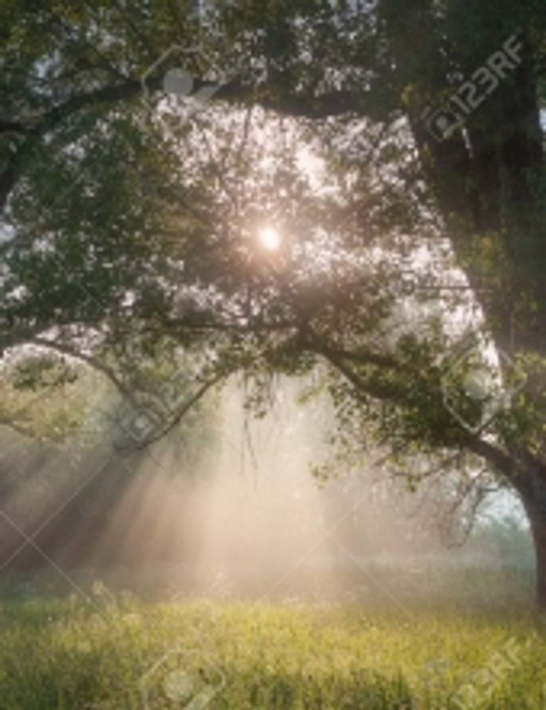 James Harrison Hornbuckle, Jr.