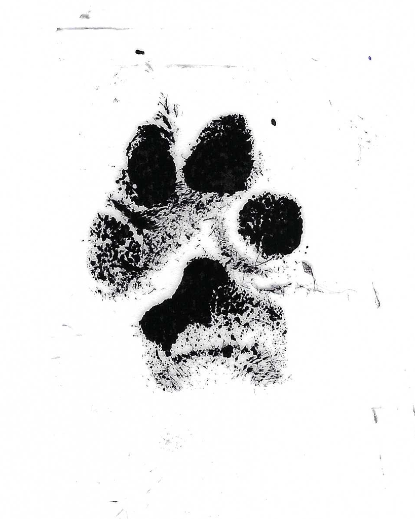 Miss Annie Skenes Profile Photo