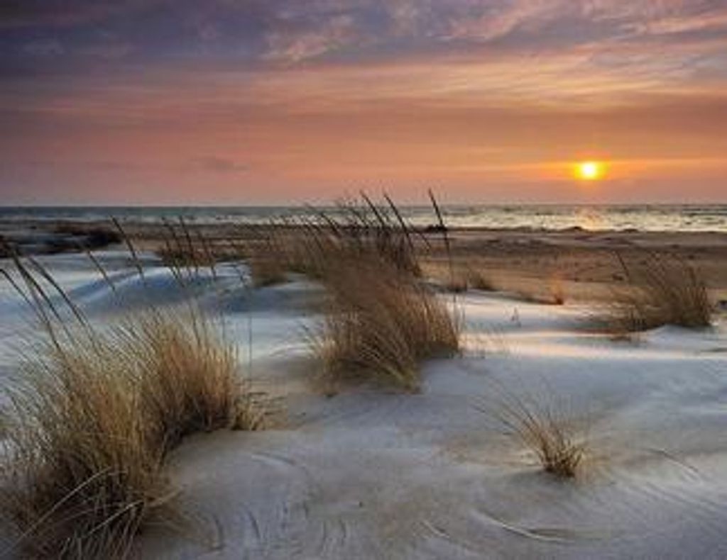 Trudy Ann (Langford) Gilson