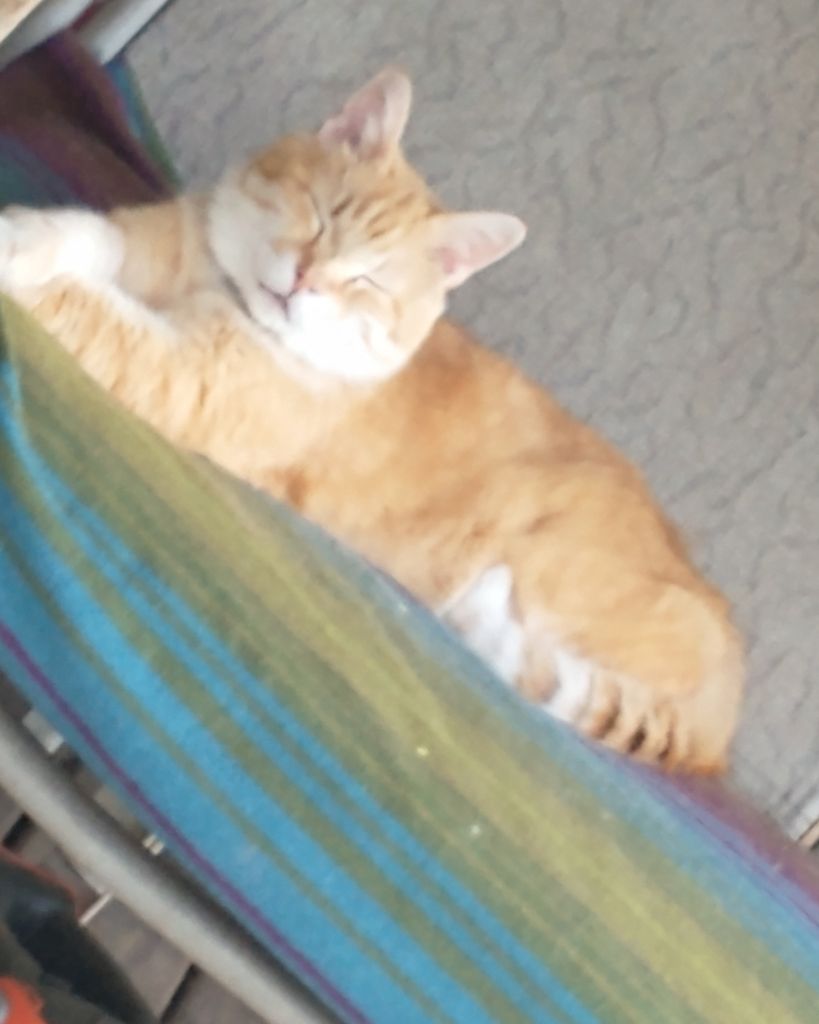 Sammy Profile Photo