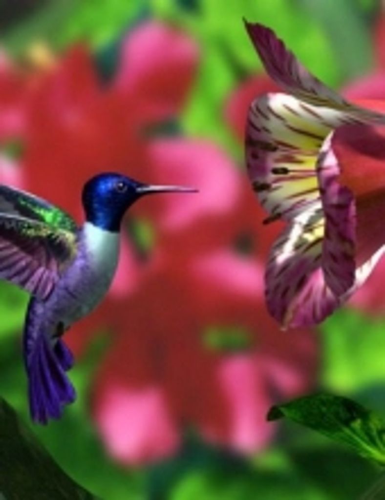 Berdina 'Deena' Lake