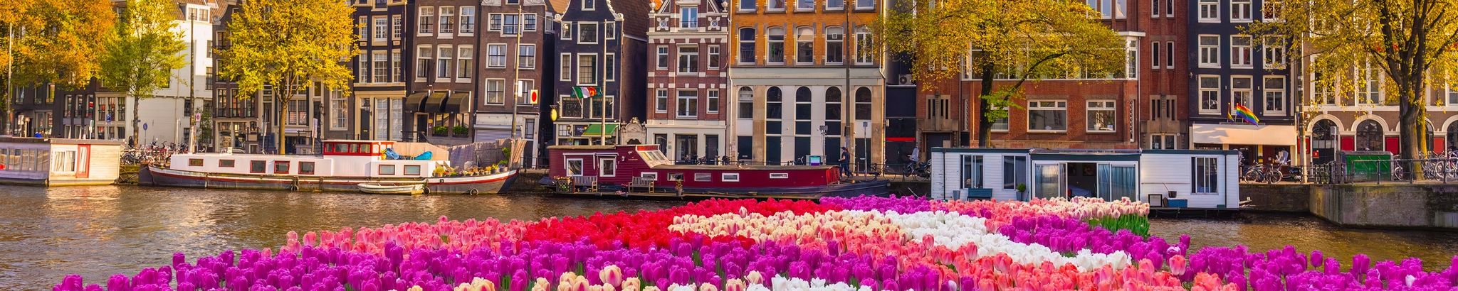 Cover for Hank Wayne Boks's Obituary