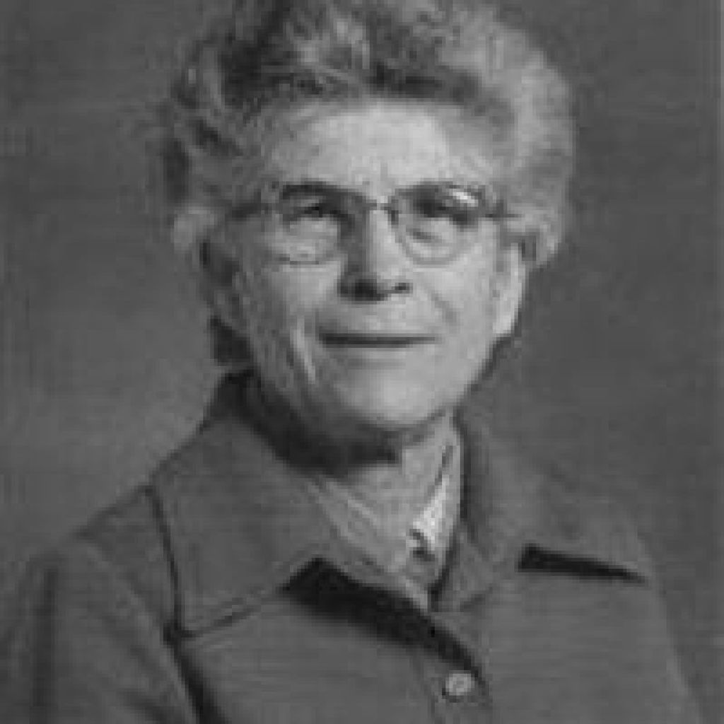 Maleta   Robinson