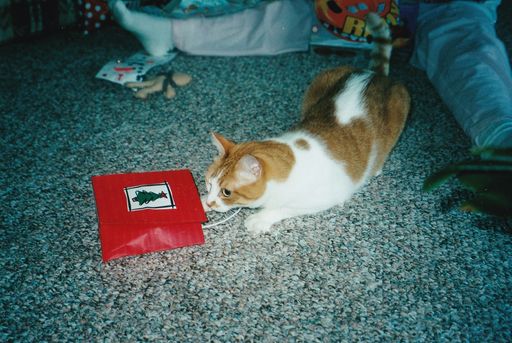 Margery A Schenk photo gallery thumbnail 121 of 125