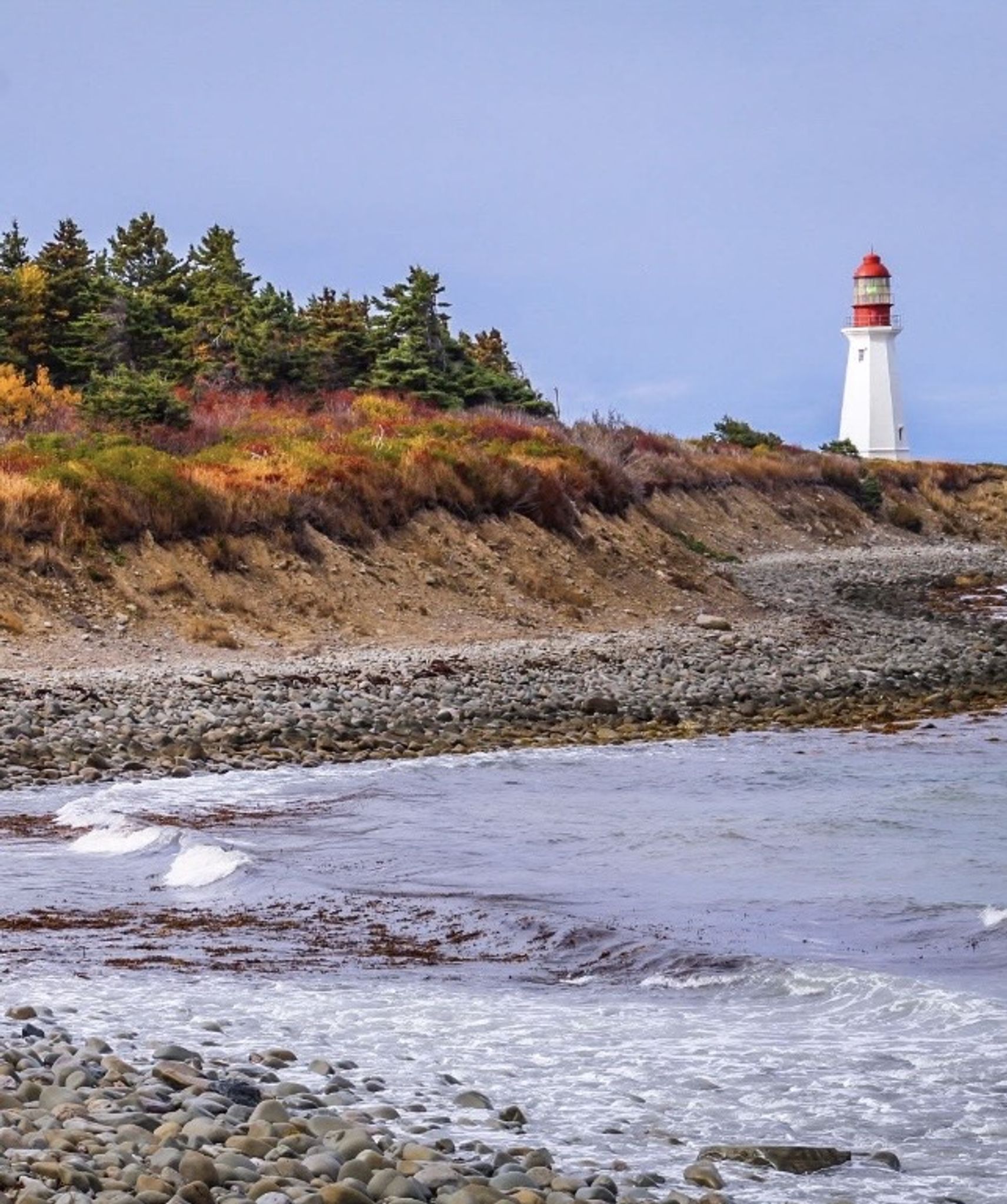 Cover for Frederick Thomas White's Obituary