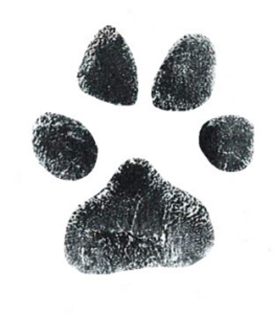Abbie Mcclelland