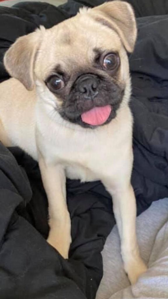 Willa Channing Maple Profile Photo