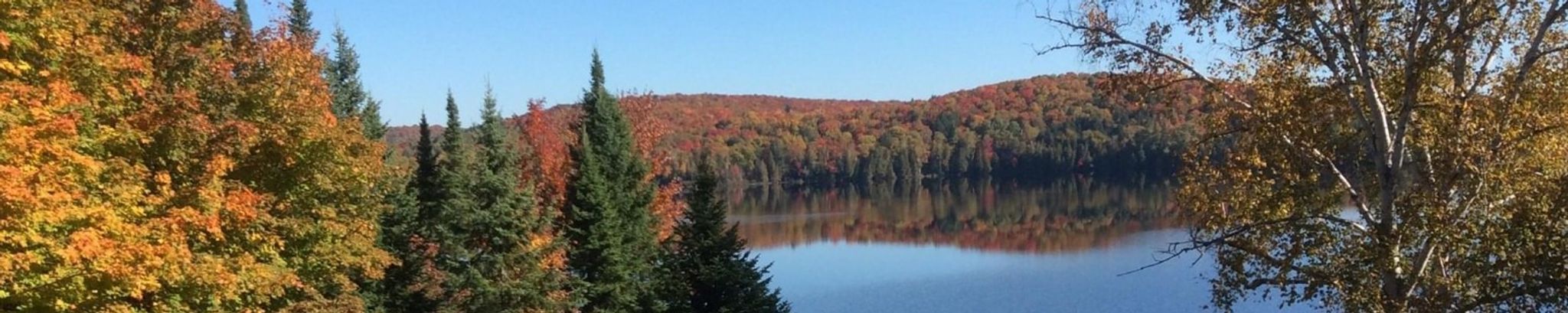 Cover for David Munns's Obituary