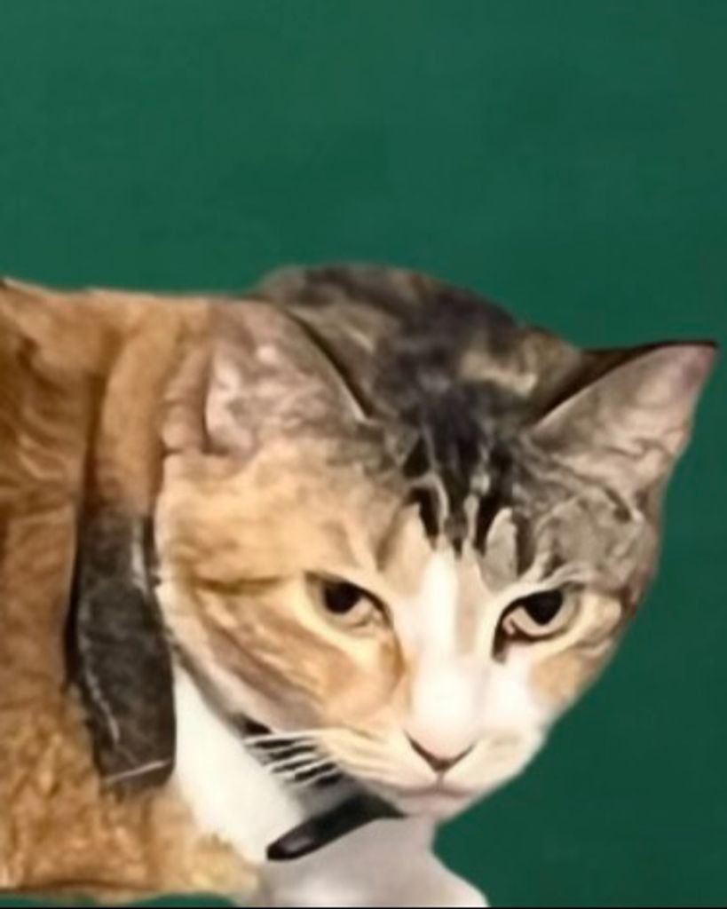 Jazmyne Kessler Profile Photo