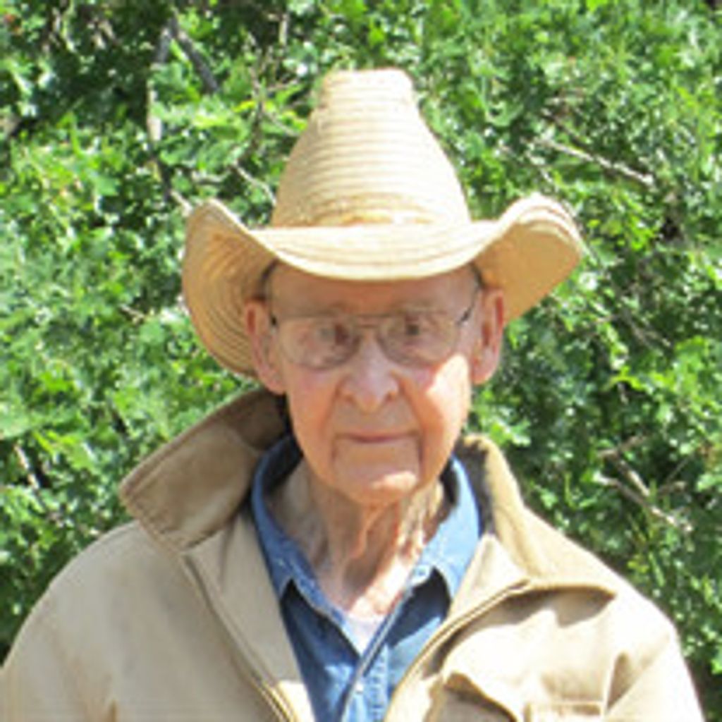 Bert Lovelace