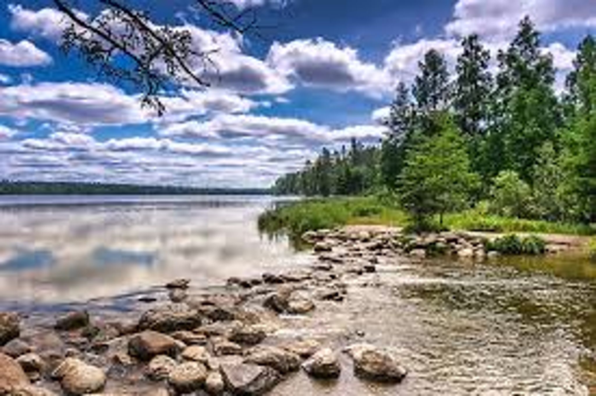 Cover for Thomas Sidney Kilbury's Obituary