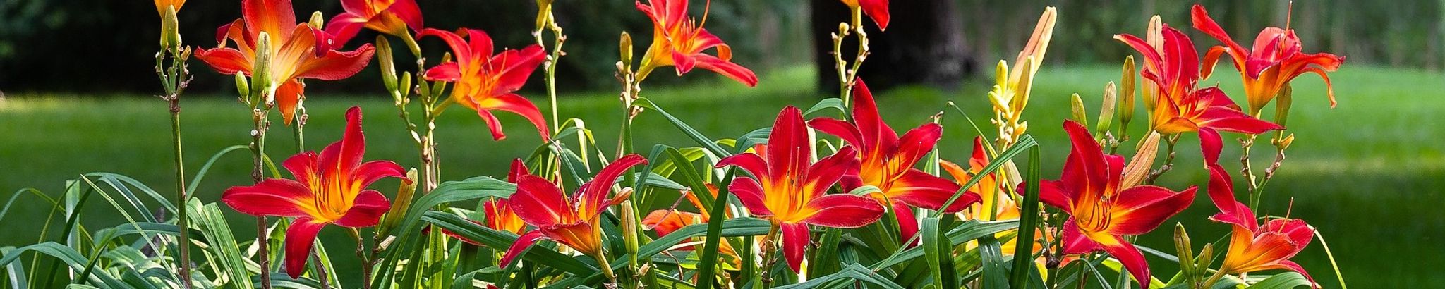 Cover photo for Therese Marie Fern's Obituary